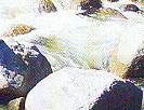 Mossman Gorge