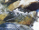 Mossman Gorge