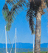 The Marina at Port Douglas