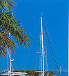 The Marina at Port Douglas