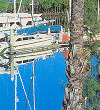The Marina at Port Douglas