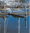 The Marina at Port Douglas