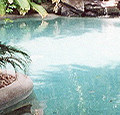 Pool view 1