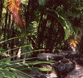 Pool view 2