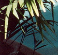 Pool view 2