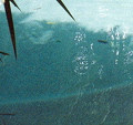 Pool view 2