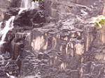 Waterfall in the Rain Forest