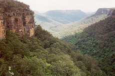 Valley in the Blue Mountains