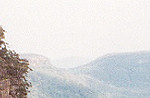 Valley in the Blue Mountains