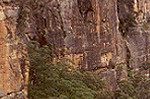 Valley in the Blue Mountains