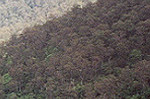 Valley in the Blue Mountains