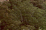 Valley in the Blue Mountains