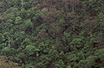 Valley in the Blue Mountains