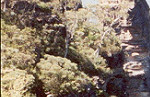 Blue Mountain crags