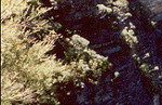 Blue Mountain crags
