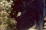 Blue Mountain crags
