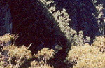 Blue Mountain crags