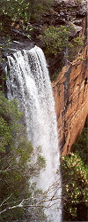 A stunning waterfall