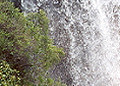 A stunning waterfall