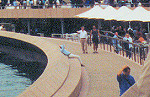 Sydney Opera House