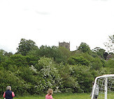 Flyball or Football? Decisions, decisions...