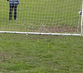 Flyball or Football? Decisions, decisions...