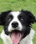 Share the joke please Cello!