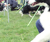 Hang on Keith! Ruban spots something exciting...