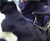 Hang on Keith! Ruban spots something exciting...