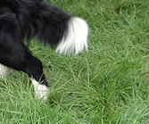 Hang on Keith! Ruban spots something exciting...