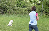 Practice stays - Summer, Misty, Carys, Tess, Rupert