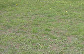 Practice stays - Summer, Misty, Carys, Tess, Rupert