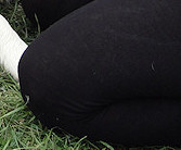 Teaser