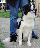 Jess at 20 months