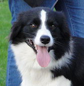 Jess at 20 months