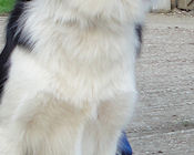 Jess at 20 months