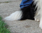 Jess at 20 months