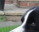 Jess at 20 months