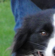Jess at 20 months