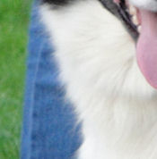 Jess at 20 months
