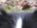 Teds, February 2010
