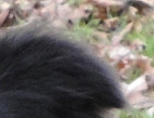 Teds, February 2010