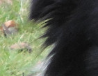 Bear, February 2010