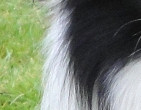 Bear, February 2010