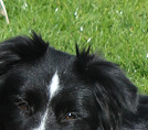 Darq at 21 months