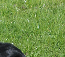 Darq at 21 months