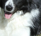 Darq at 21 months