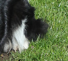 Darq at 21 months