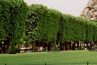 Approaching the Eiffel Tower