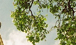 A long way up!